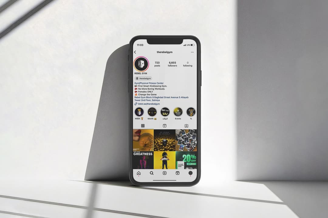 Mercato Branding Project